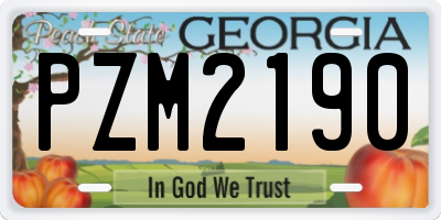 GA license plate PZM2190