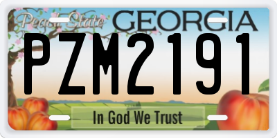 GA license plate PZM2191