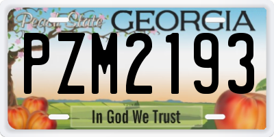 GA license plate PZM2193
