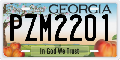 GA license plate PZM2201