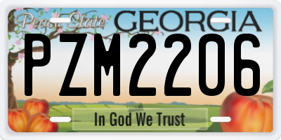 GA license plate PZM2206