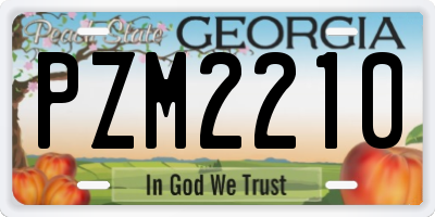 GA license plate PZM2210