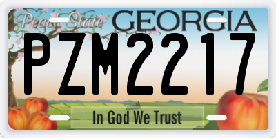 GA license plate PZM2217