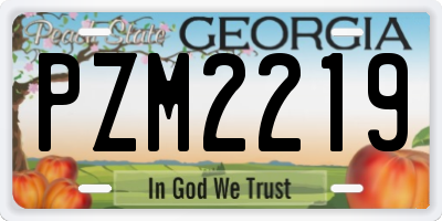 GA license plate PZM2219