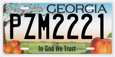 GA license plate PZM2221