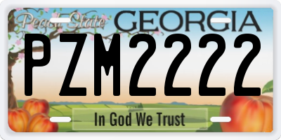 GA license plate PZM2222