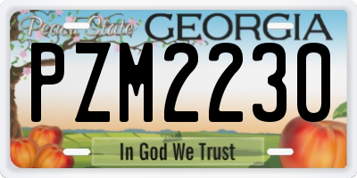 GA license plate PZM2230
