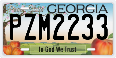 GA license plate PZM2233