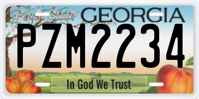 GA license plate PZM2234