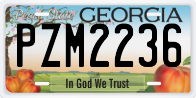 GA license plate PZM2236