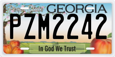 GA license plate PZM2242