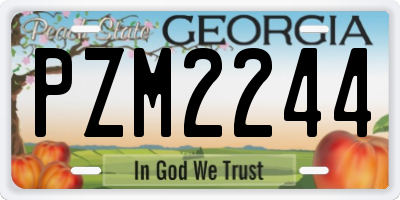 GA license plate PZM2244