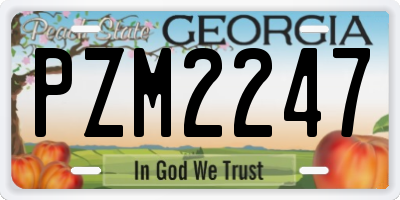 GA license plate PZM2247