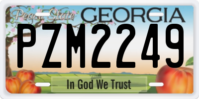 GA license plate PZM2249