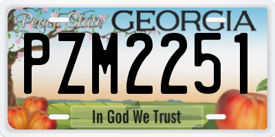 GA license plate PZM2251