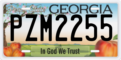 GA license plate PZM2255
