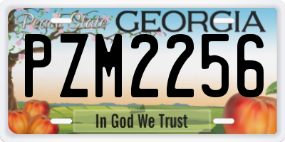 GA license plate PZM2256