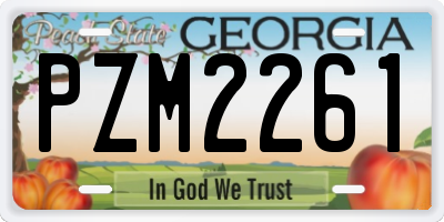 GA license plate PZM2261