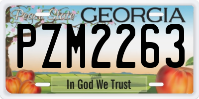 GA license plate PZM2263