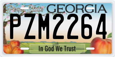 GA license plate PZM2264