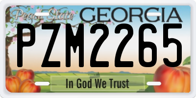 GA license plate PZM2265