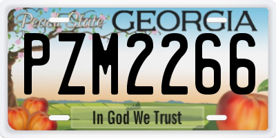 GA license plate PZM2266
