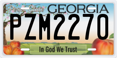 GA license plate PZM2270