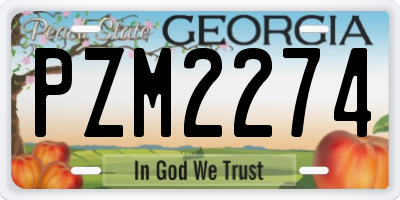GA license plate PZM2274