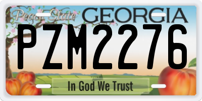 GA license plate PZM2276