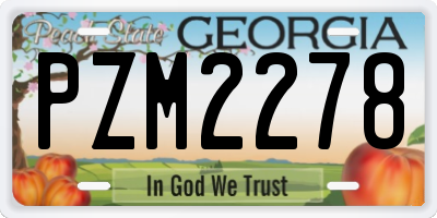GA license plate PZM2278