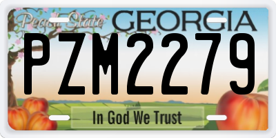 GA license plate PZM2279