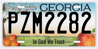 GA license plate PZM2282