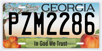 GA license plate PZM2286