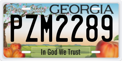 GA license plate PZM2289