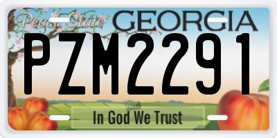 GA license plate PZM2291