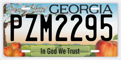 GA license plate PZM2295