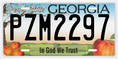 GA license plate PZM2297