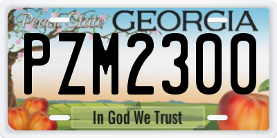 GA license plate PZM2300