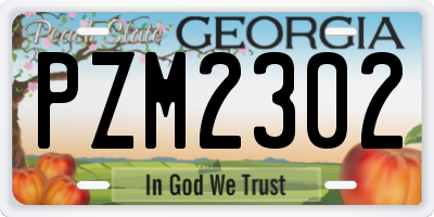 GA license plate PZM2302