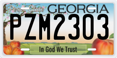 GA license plate PZM2303