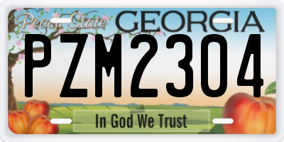 GA license plate PZM2304