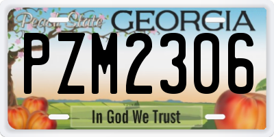 GA license plate PZM2306