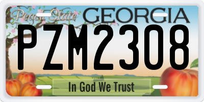 GA license plate PZM2308