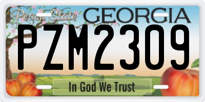 GA license plate PZM2309