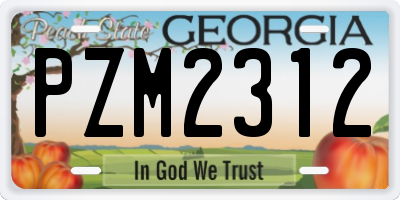 GA license plate PZM2312