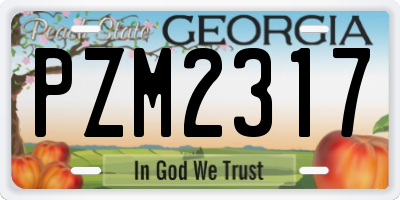 GA license plate PZM2317