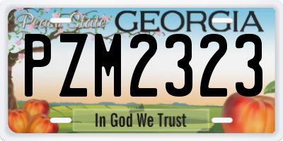 GA license plate PZM2323