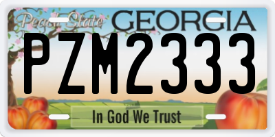 GA license plate PZM2333