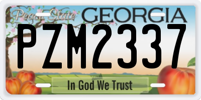 GA license plate PZM2337
