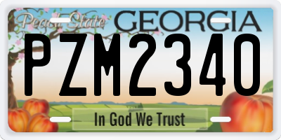 GA license plate PZM2340